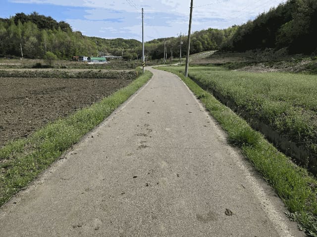 B000270202601300504024.jpg
