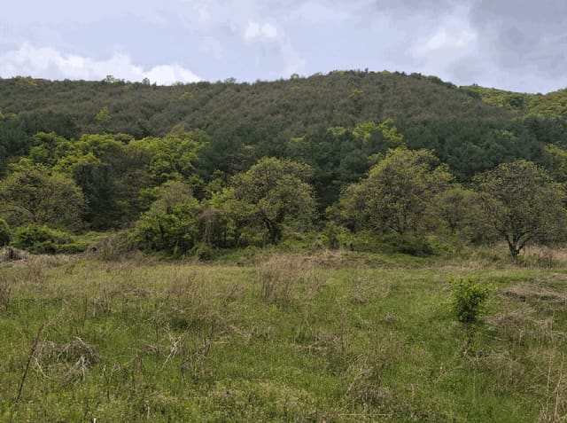 B000270202601300504466.jpg