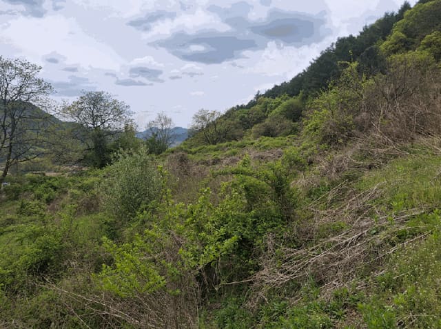 B000270202601300504464.jpg
