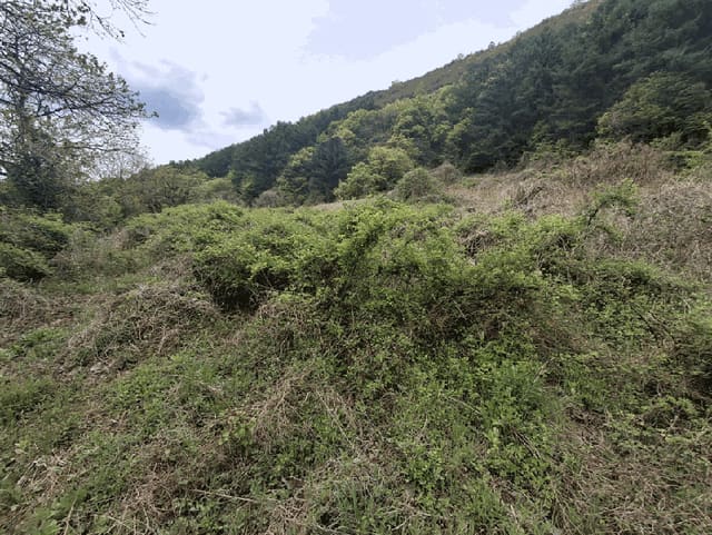 B000270202601300504465.jpg