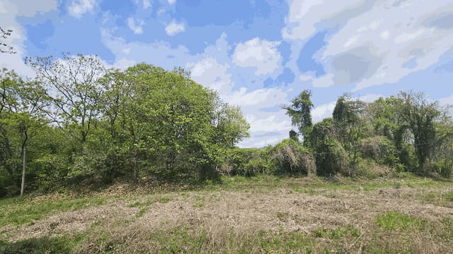 B000270202601300504572.jpg
