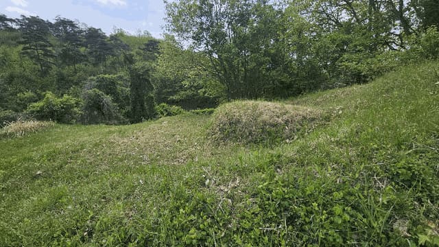 B000270202601300504573.jpg