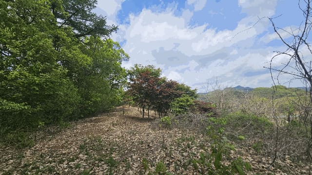 B000270202601300504574.jpg