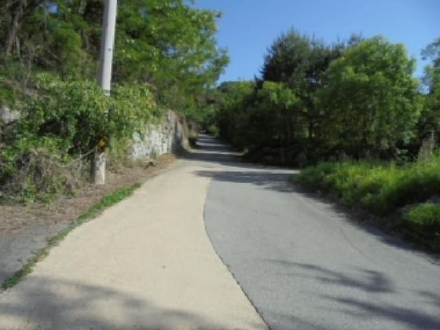 B000270202601300505142.jpg