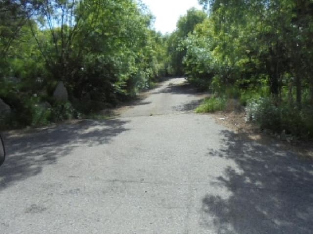 B000270202601300505143.jpg