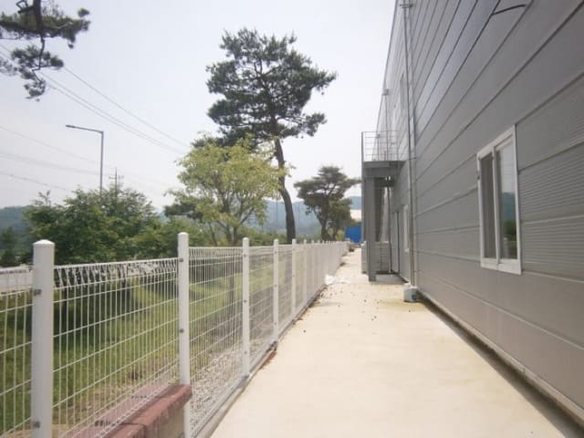B000271202101300019776.jpg