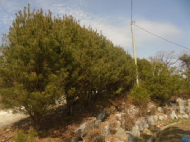 B000271202401300009823.jpg