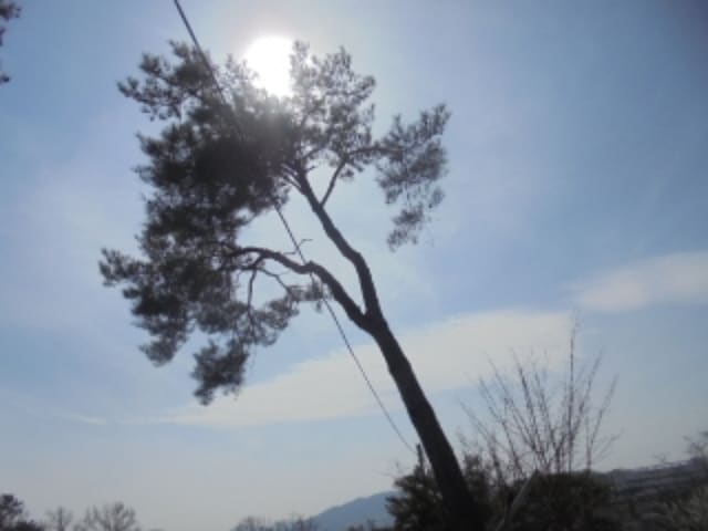 B000271202401300009822.jpg