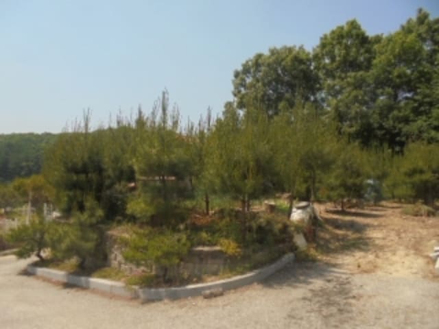 B000271202401300014044.jpg