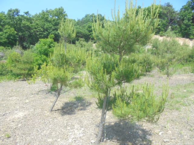 B000271202401300014043.jpg