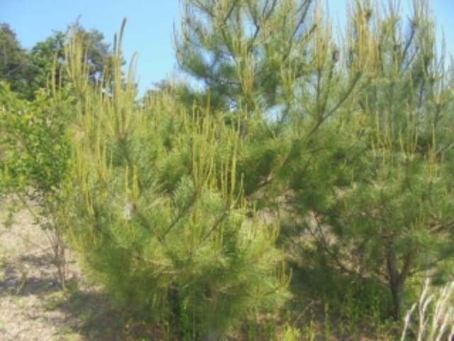 B000271202401300014042.jpg