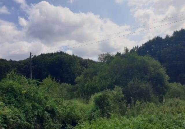 B000271202401300024523.jpg