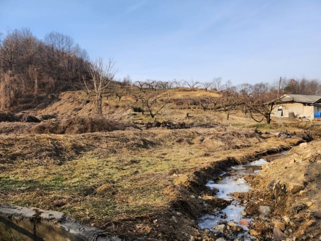 B0002712024013000300415.jpg