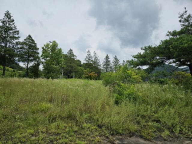 B000271202401300335171.jpg