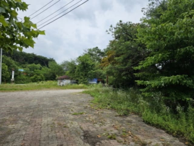 B000271202401300335174.jpg