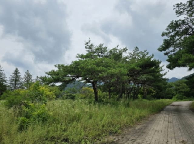 B000271202401300335172.jpg