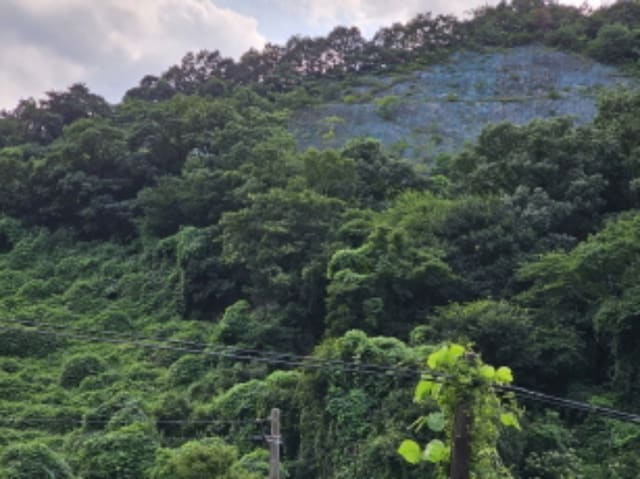 B000271202401300338141.jpg