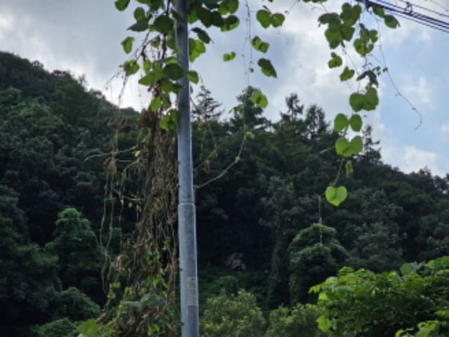B000271202401300338142.jpg