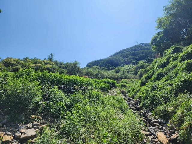 B000271202401300343812.jpg