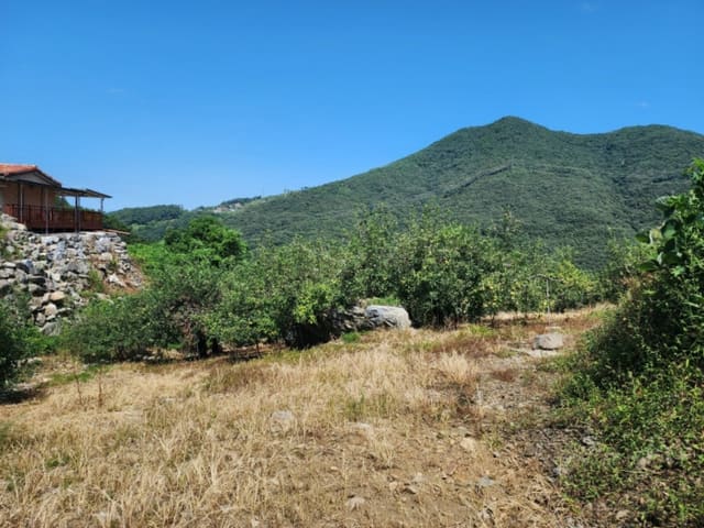 B000271202401300343814.jpg