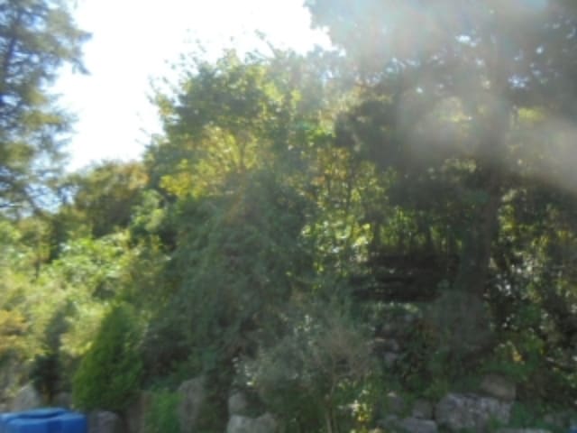 B000271202401300345722.jpg