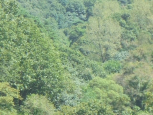 B000271202401300345721.jpg