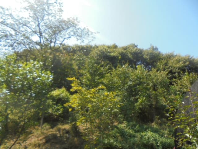 B000271202401300345723.jpg