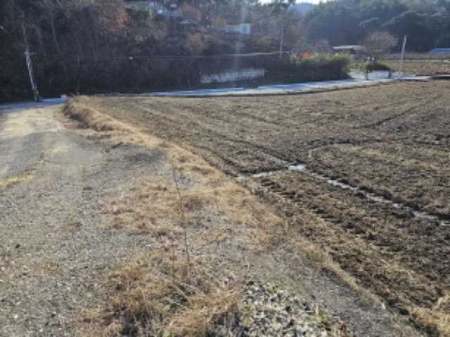B000271202401300357042.jpg