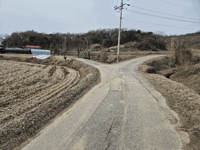 B000271202401300357663.jpg