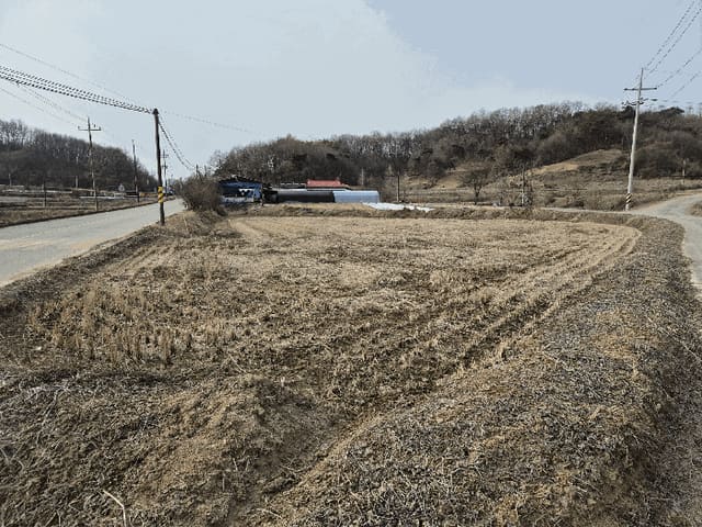B000271202401300357664.jpg