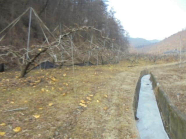 B000271202401300362644.jpg