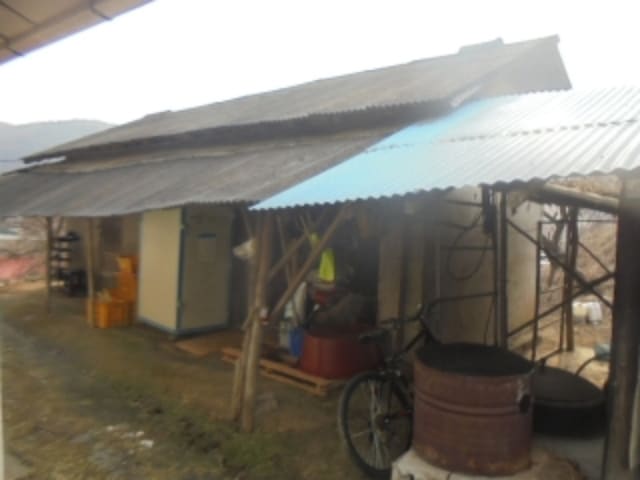 B000271202401300362642.jpg
