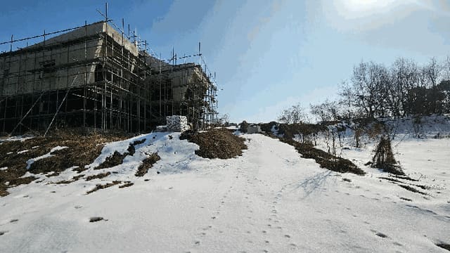 B000271202501300003853.jpg