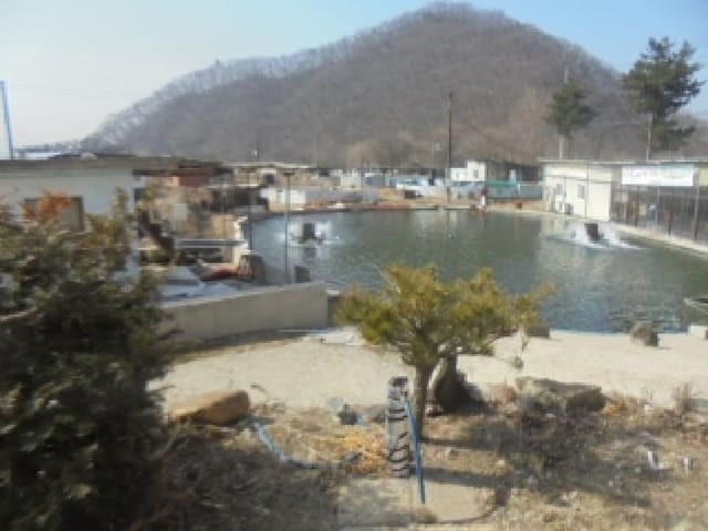 B000271202501300004774.jpg