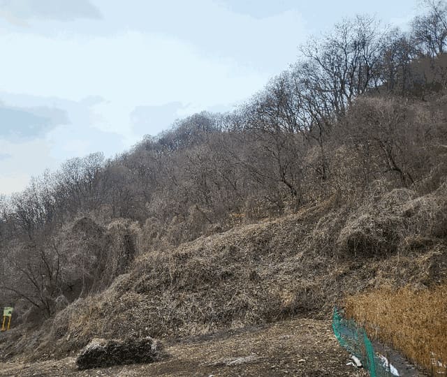 B000271202501300006064.jpg