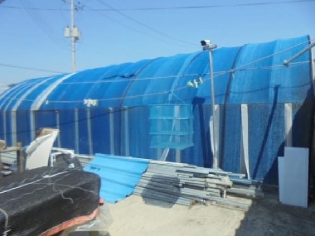 B000271202501300008804.jpg