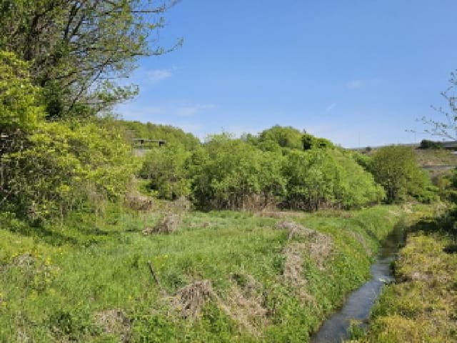 B000271202501300009341.jpg