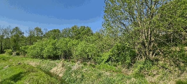 B000271202501300009344.jpg