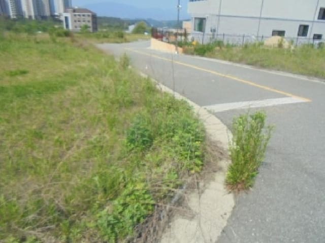 B000271202501300010293.jpg