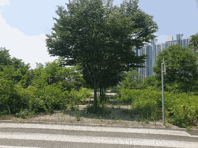 B000271202501300011734.jpg