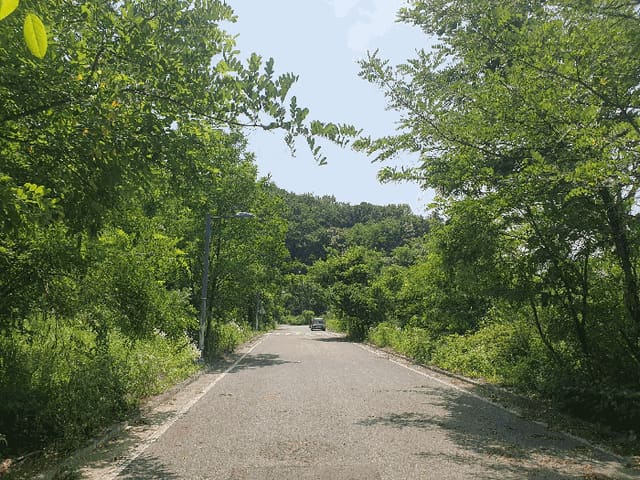 B000271202501300011733.jpg