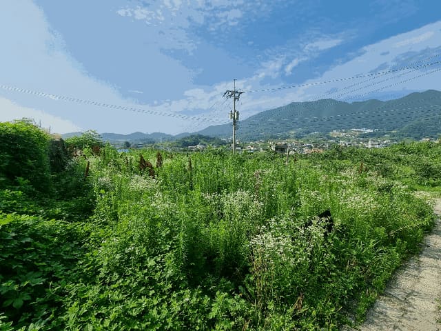 B000271202501300012414.jpg