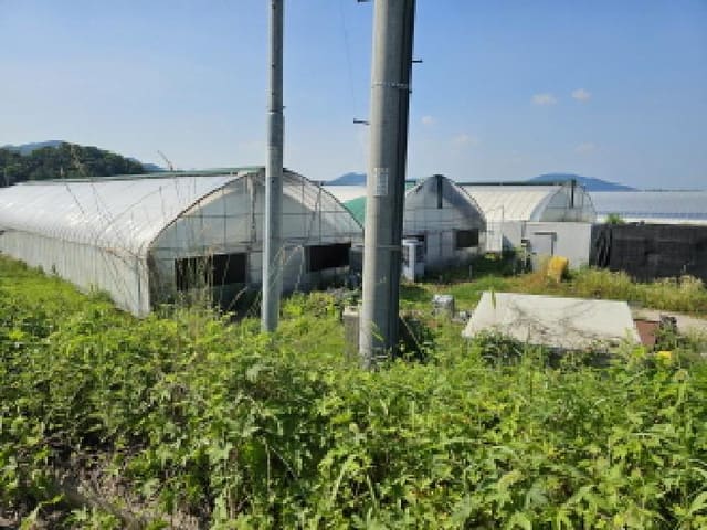 B000271202501300014253.jpg