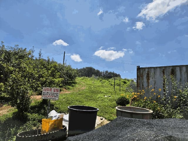 B000271202501300015174.jpg