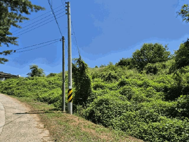 B000271202501300015173.jpg
