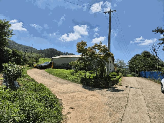 B000271202501300015172.jpg