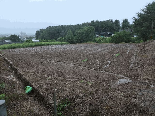 B000271202501300015243.jpg