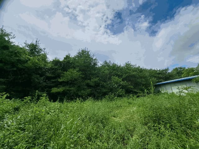 B000271202501300015314.jpg