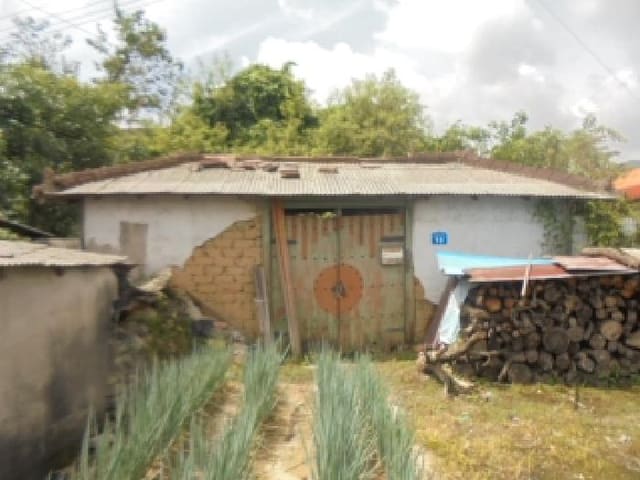B000271202501300016781.jpg