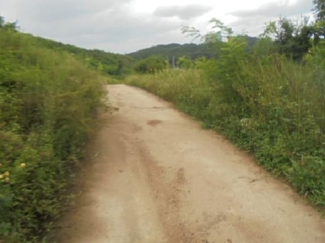 B000271202501300018213.jpg